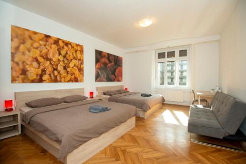 Quadruple Room room in Viva Rooms