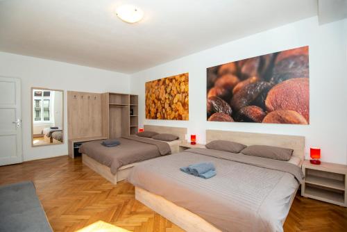 Viva Rooms