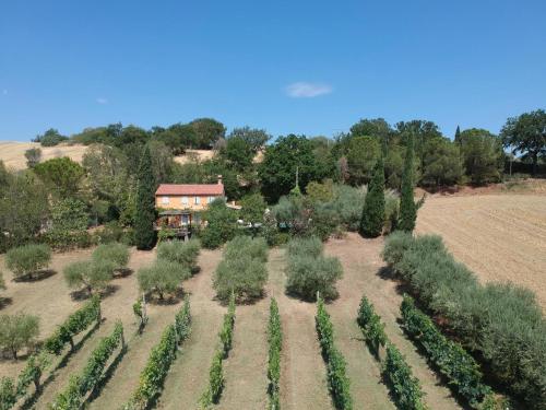 Home set in olive grove with stunning views