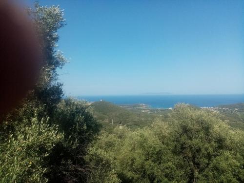 Gite d'OLIVO gîte à louer Quarcioli