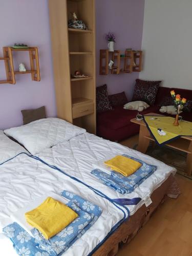 Ubytovanie apartman Pálenica - Apartment - Tatranska Strba