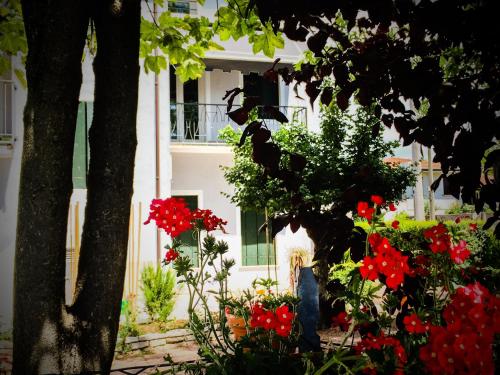 Bed & Breakfast Don Carlos