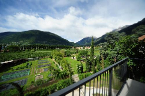 Villa Sasso - image 7