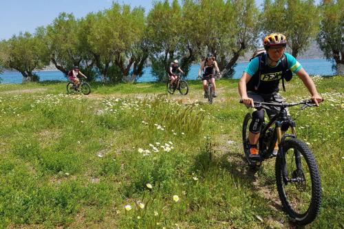 Villa Taxiarchis - image 2