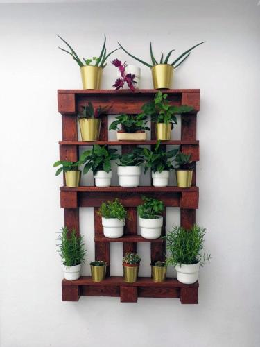 設施, Casa La Cañada (Casa La Canada) in 拉塔瓦