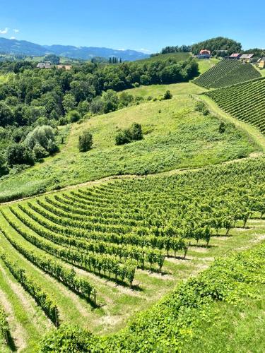 Weinberg Apartment (ehm. Glanzerhof) in Loipersdorf
