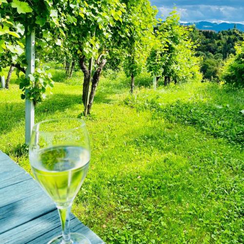 Weinberg Apartment (ehm. Glanzerhof) in Loipersdorf