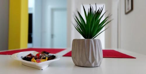 Apartments Kapetanovina - image 10