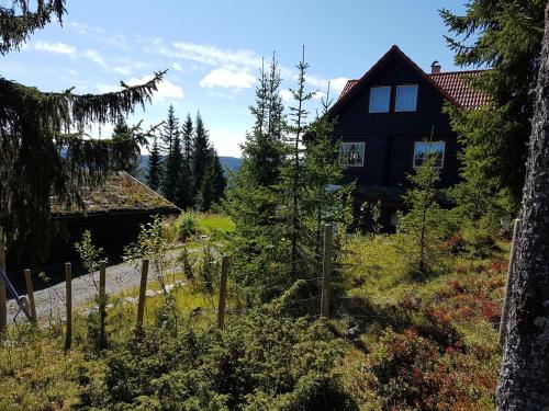 Casa San Gottardo - The Forest House, Etnedal - Accommodation