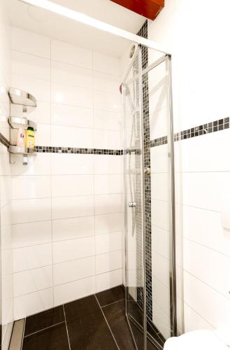 Sunflower Amsterdam - image 8