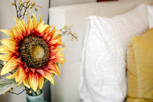 Sunflower Amsterdam - Tap to explore photos