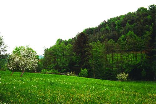 Landhaus Waldfrieden 4