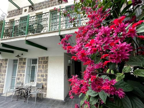 Berenice Winery Villa in Tiberias