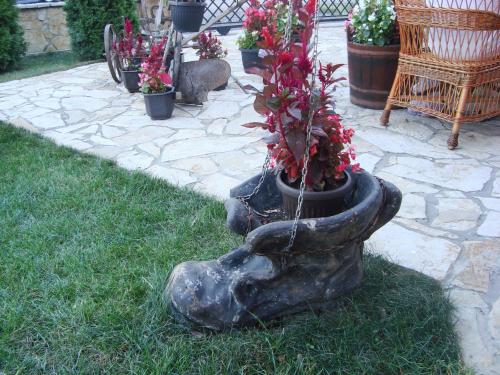 Vila Madams - image 13