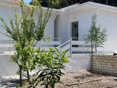 Villa Vittoria Garden chambre d'hôte San Menaio