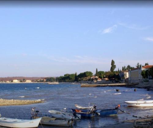 Apartman VAL 1 in Dajla