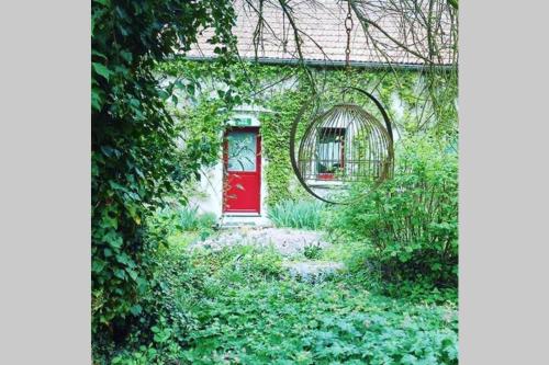 obouduchemin, Cindré (zdjęcie 8)
