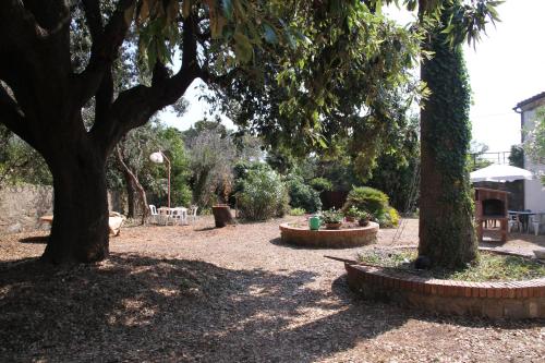 Casale con accesso mare, grande giardino e basket gîte à louer Case Fortullino