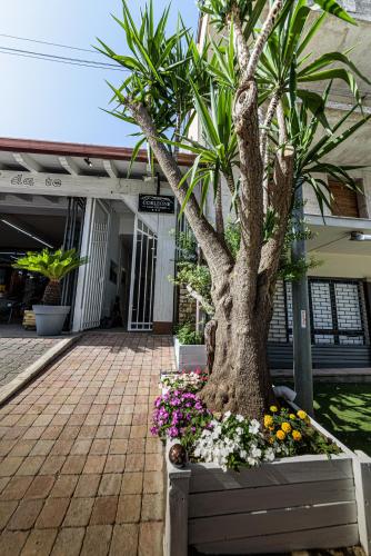 Corleone GUESTHOUSE, Palermo