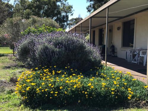 Cockburn Retreat Home 柏斯悠閒民宿 Perth