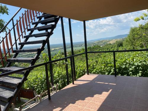 Balkon/terasa, Fehér Szőlő Vendégház (Feher Szolo Vendeghaz) in Sátoraljaújhely