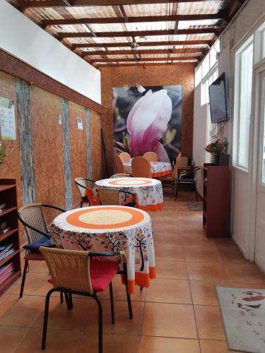 Hostal Magnolio – Vina del Mar, WV
