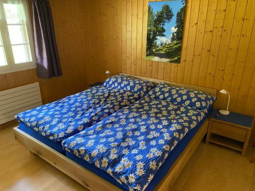 Chalet Herrschaft, Grindelwald (foto 9)
