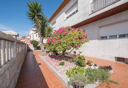 CASA TILVES II gîte à louer Beloso