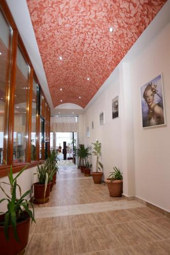 Agali Hotel - image 4