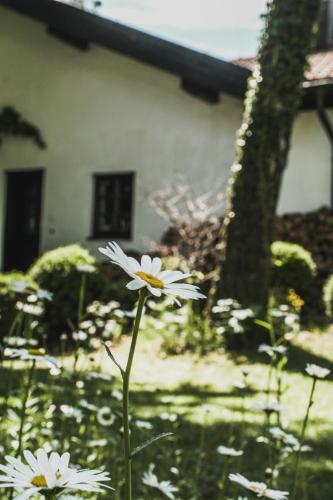 Gartenwohnung Tausendfreund am Chiemsee