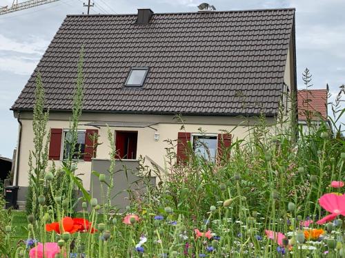 Ferienhaus -HAUS DER WEICHSEL- bei Lauingen, mit Sauna