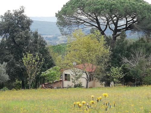 Casa Jacaranda, Monteverdi Marittimo (fotografie 5)