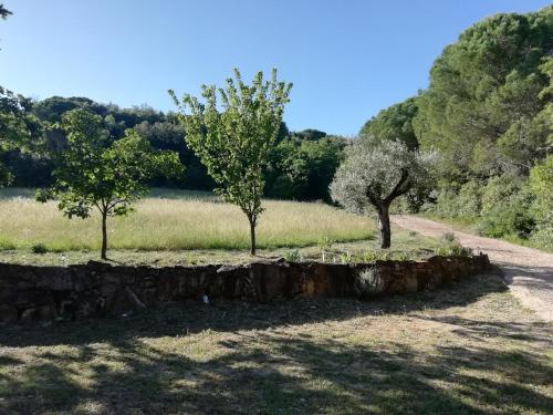 Casa Jacaranda, Monteverdi Marittimo (fotografie 6)