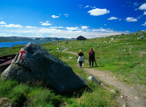Sæbø Camping - image 6