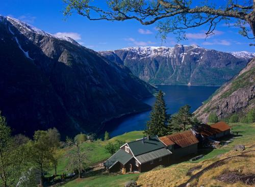 Sæbø Camping - image 11