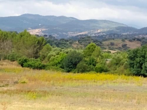 磨坊乡村民宿 磨坊乡村民宿