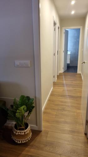  Apartamento Corbaceiras in Pontevedra