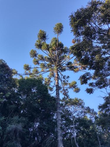 Pousada Ser Tão de Minas - antiga sangha pyara