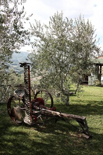 Il Castello Di Perchia - image 13