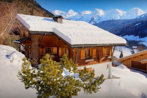 Fleur des Neiges Grand Bornand - OVO Network gîte à louer Le Grand-Bornand