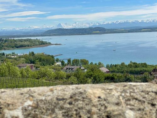 La Maison Bleue à 2 pas du Lac du Neuchâtel (La Maison Bleue a 2 pas du Lac du Neuchatel) in Hauterive
