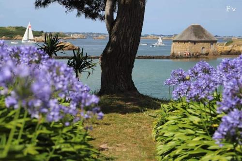 Maison Neo Bretonne avec jardin clos de 1 a 5 chambres