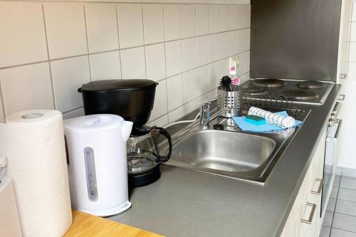 Facilities, Apartment mit Dachterrasse nahe Zwickau in Glauchau