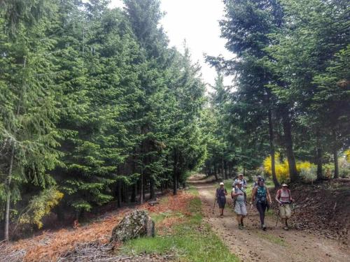 Casa de Santa Ana da Beira - image 8