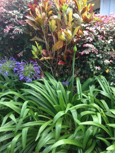 Banyan Tree B&B Retreat Banyan Tree B&B Retreat