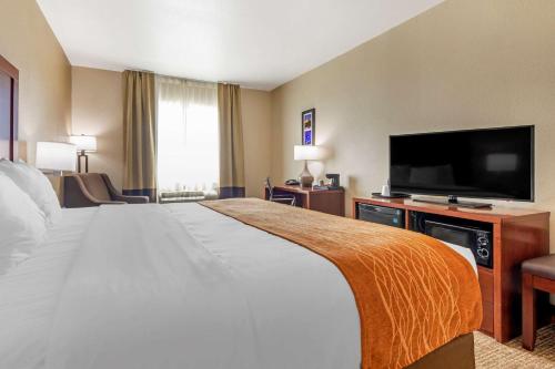 1 king bed