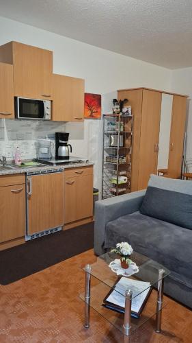 Apartment Blütenstadt Werder im Souterraine