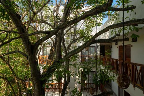 312608497 Ciyé Hotel