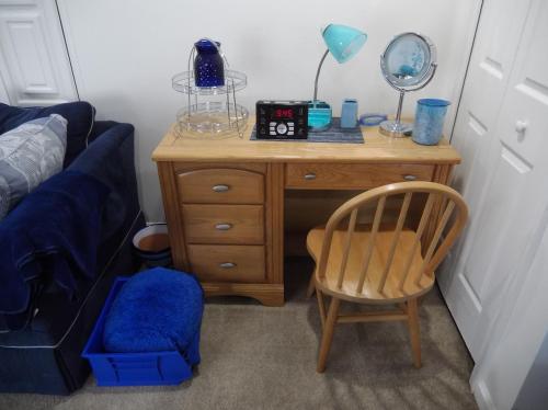 THE BLUE ROOM Luxury suite in Dover (DE)