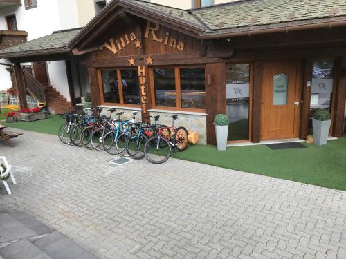 Hotel Villa Rina - image 2